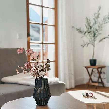 Flow Living I Boutique-apartment Mit Bergblick I Zentrum Appartement *